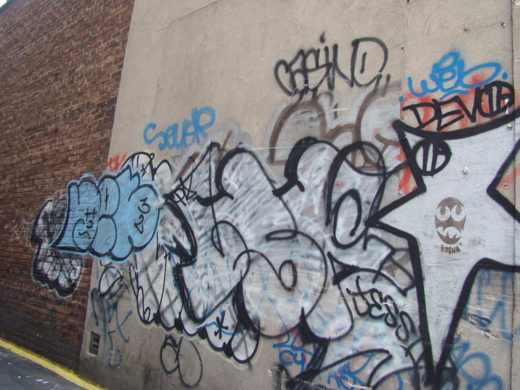 DSC05384