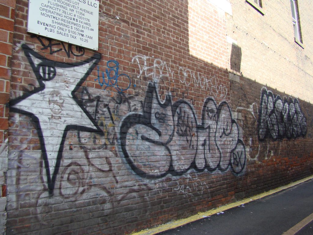 DSC05385