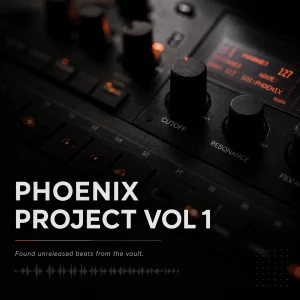 phoenix project vol 1